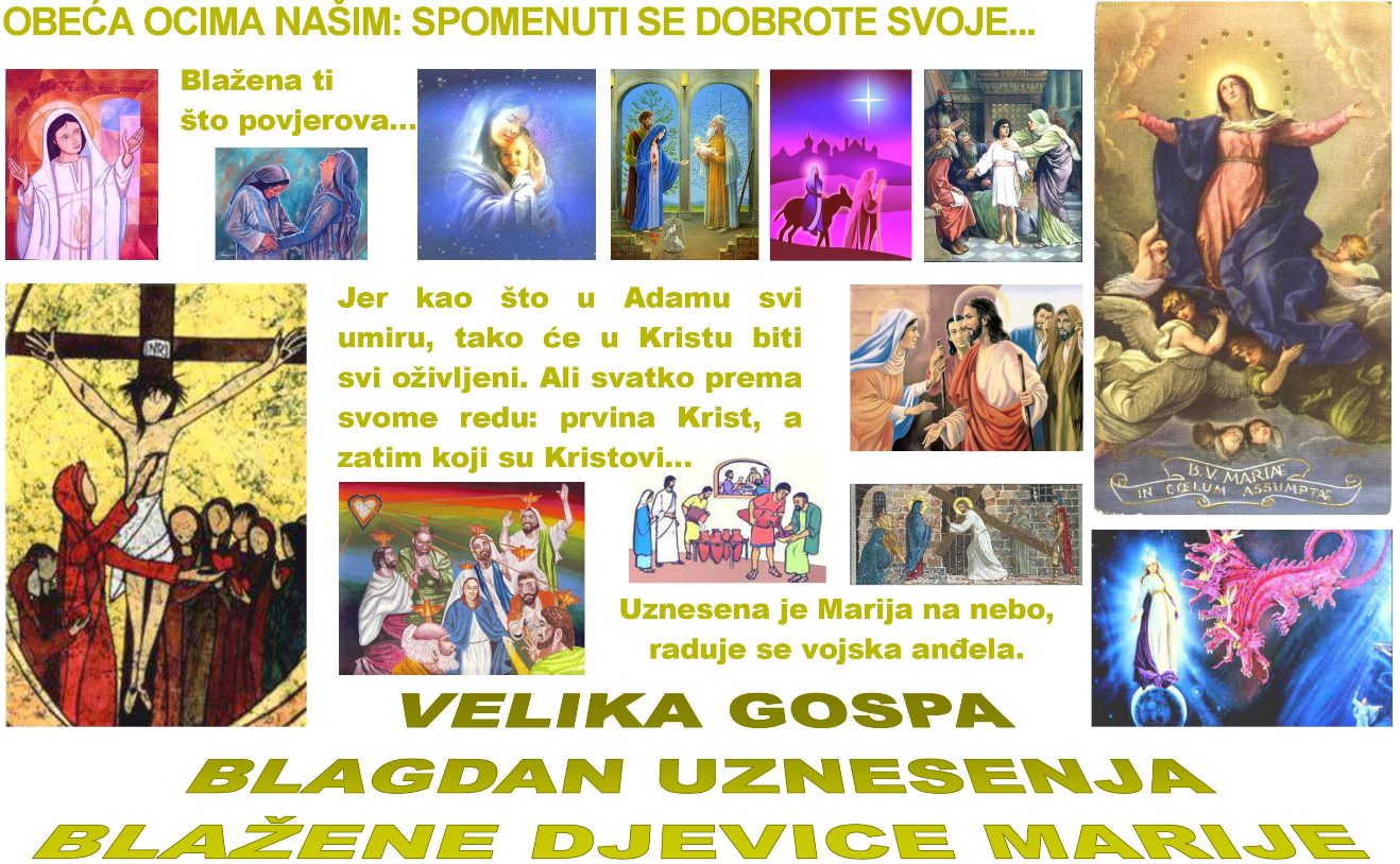 19. nedjelja